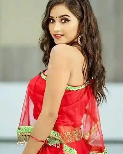 Call Girls Service Sarwar